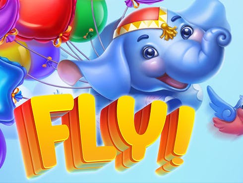 Fly